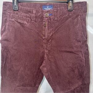 American Eagle Outfitters Men's Corduroy Pants in Maroon